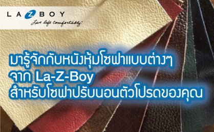 มารู้จักกับหนังหุ้มโซฟาแบบต่าง ๆ จาก La-Z-Boy สำหรับโซฟาปรับนอนตัวโปรดของคุณ