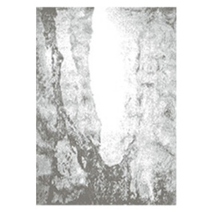 RJ236 (M)