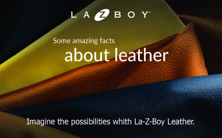 La-Z-Boy Leather