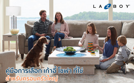 How to Choose Sofas and Recliners that Suit a Big Family