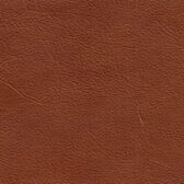 Cognac swatch