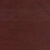 Maple swatch
